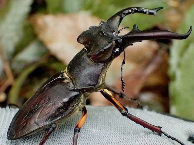 画像のテスト投稿