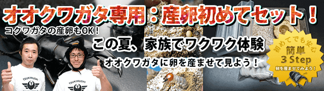 ookuwa-sanran-tsukimushi