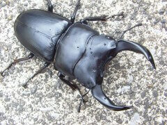 file_20110831T133209109