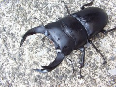 file_20110831T133210531