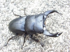 file_20110831T133211843