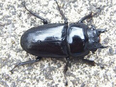 file_20110831T133213078