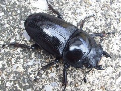 file_20110831T133214328