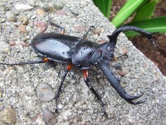 file_20110913T151730187