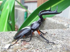 file_20110913T151732250