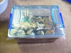 img_20110913T151729234