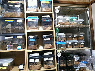 bleedingroom130105-1