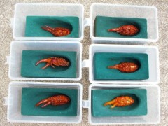 file_20130122T093659625