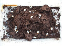 img_20130205T123722593