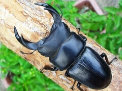 file_20130207T154802234