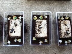 img_20130207T154800406