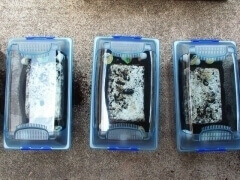 img_20130207T154801000