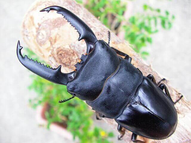 file_20100528T114309000