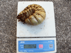 img_20080226T105043453