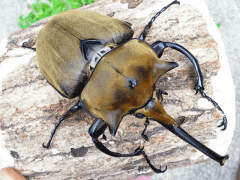 img_20100209T122646562