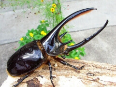 img_20120424T142524328