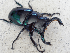 img_20070912T130326234