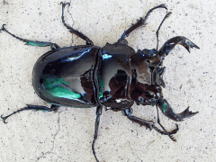 img_20070912T130328468