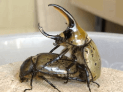 img_20081029T093619859