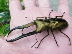 img_20081117T233902187