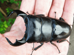 img_20081222T110942359