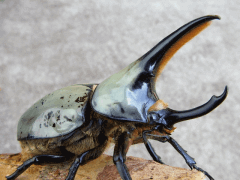 img_20090110T143920656