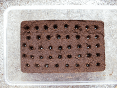 img_20090113T173729468