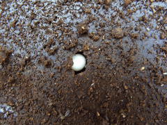 img_20090523T224306031