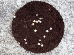 img_20090523T224312078