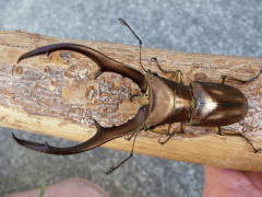 img_20100422T145523281