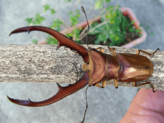 img_20100422T145525281