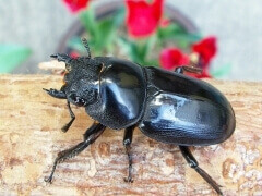 img_20120116T141041468