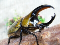 img_20120405T150005171