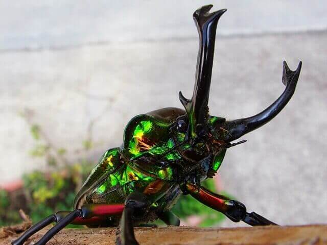 file_20101212T122721531