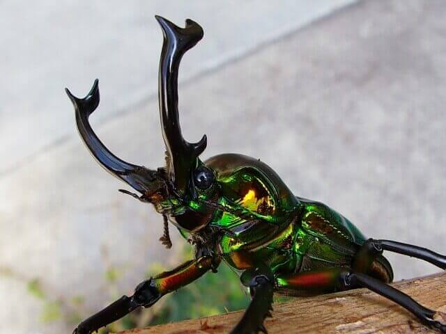 file_20101212T122739687