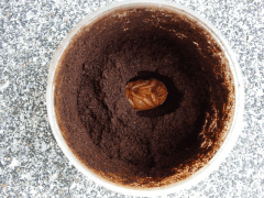 img_20090319T021557421