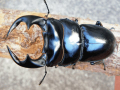 img_20100129T172713875