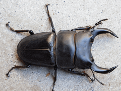 img_20100730T004806921