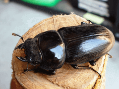 img_20100730T004809343