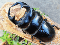 img_20100923T224552397