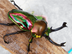 img_20101212T122716640