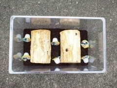 img_20110831T133208500