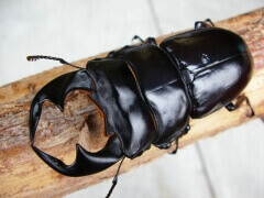 img_20111202T150225937