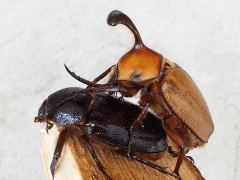 img_20080427T183703156