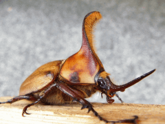 img_20090315T151706828