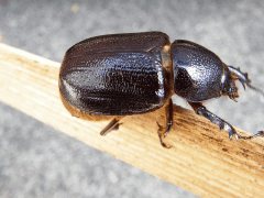 img_20090315T151708625