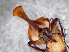 img_20090315T151710296