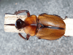 img_20090315T151713453