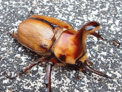 img_20090315T151715031