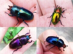 img_20120215T162347269